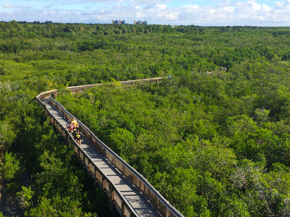 Weedon Island Preserve Scenery